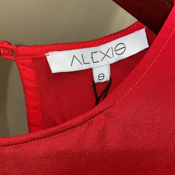 ALEXIS - Ruffle-Trim Asymmetric Dress - Picture 5 of 6